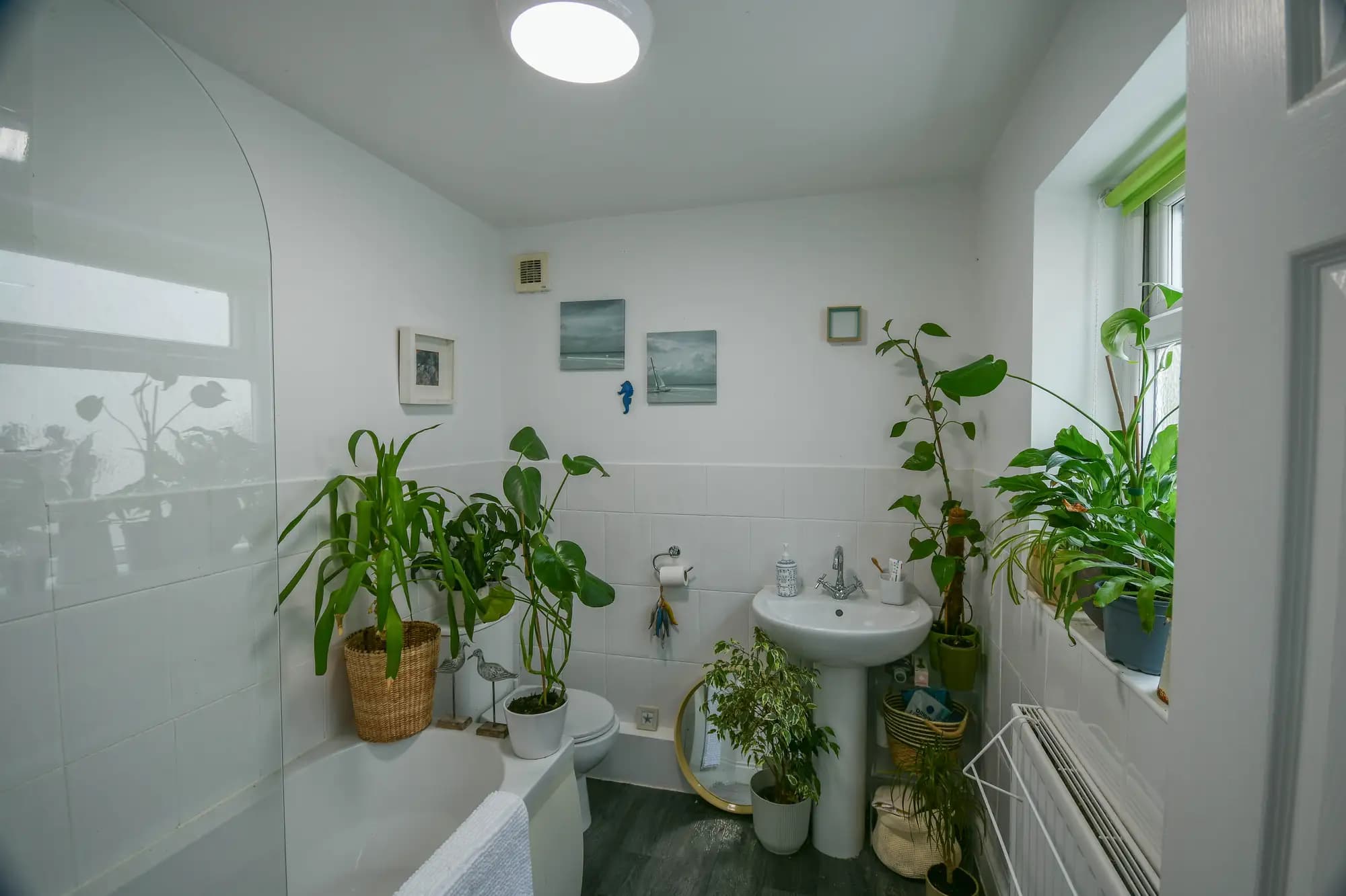 property photo 8 of 18