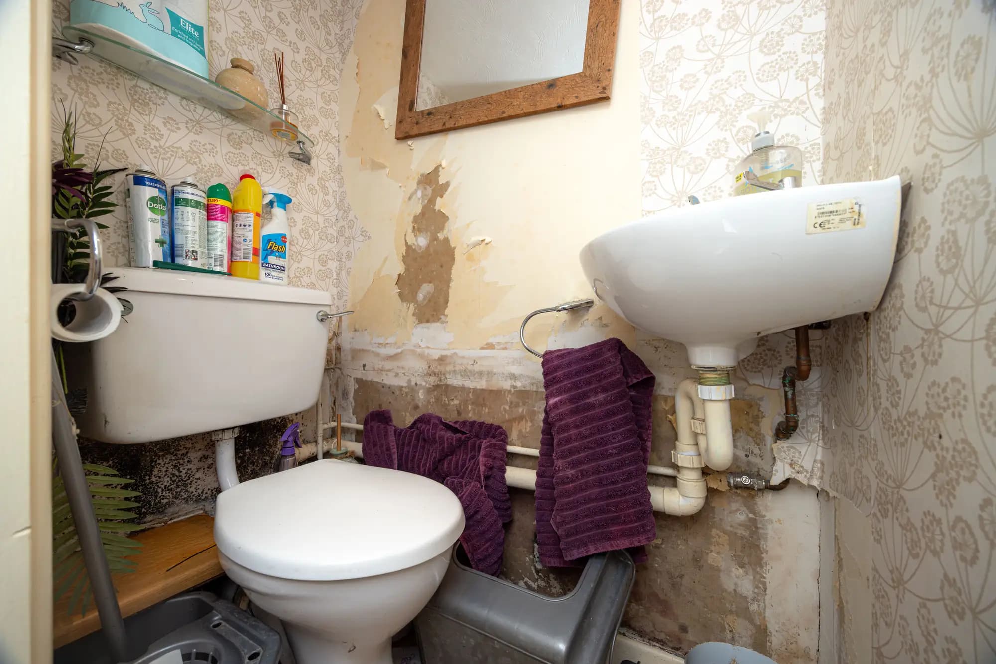 property photo 24 of 26