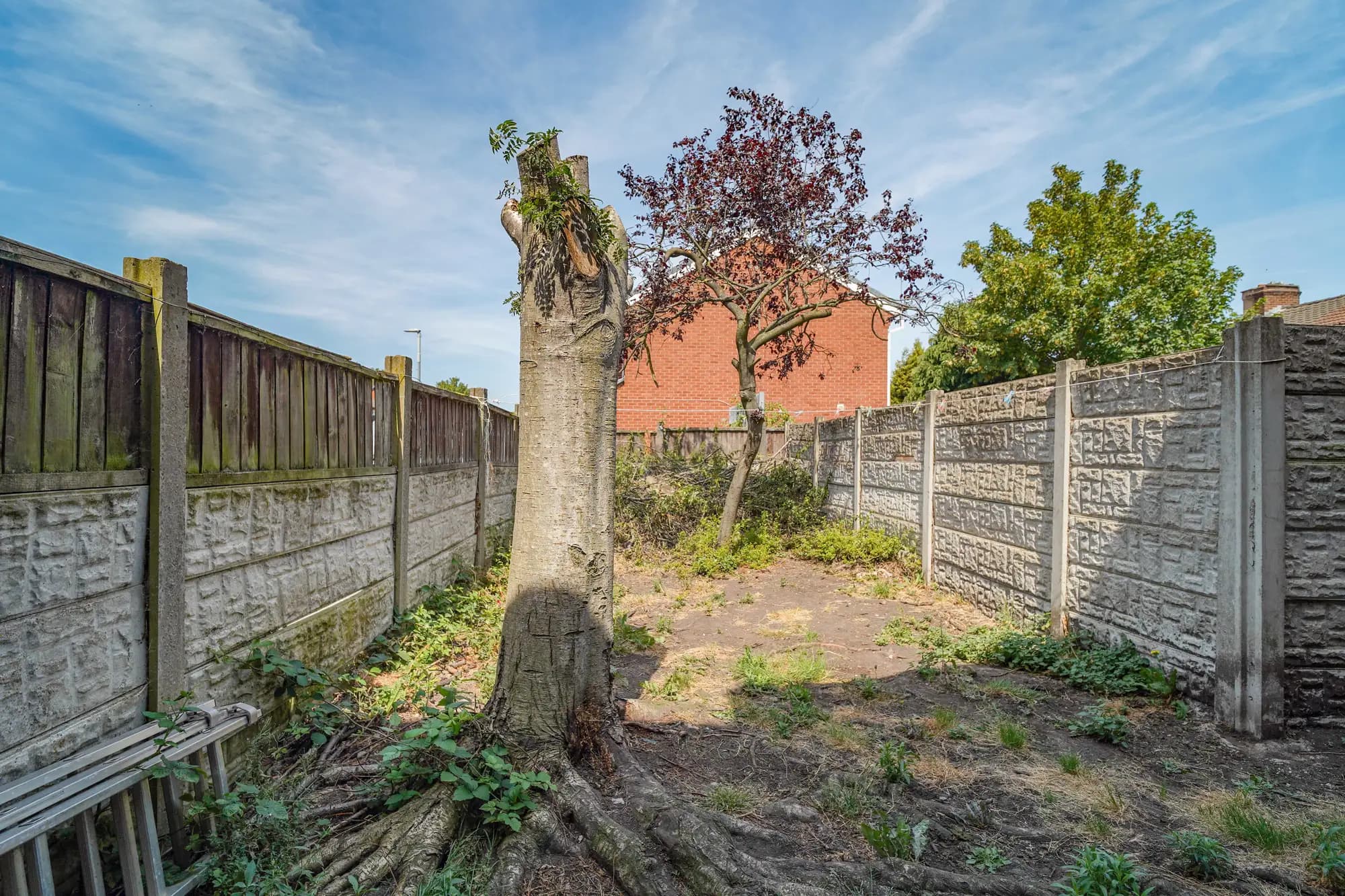 property photo 13 of 13