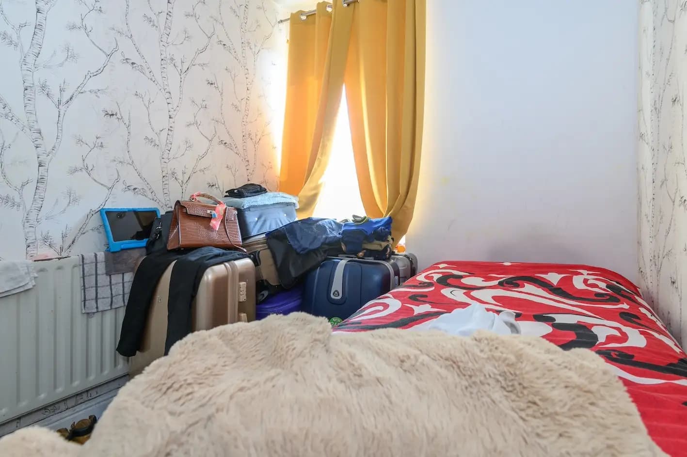 property photo 10 of 22