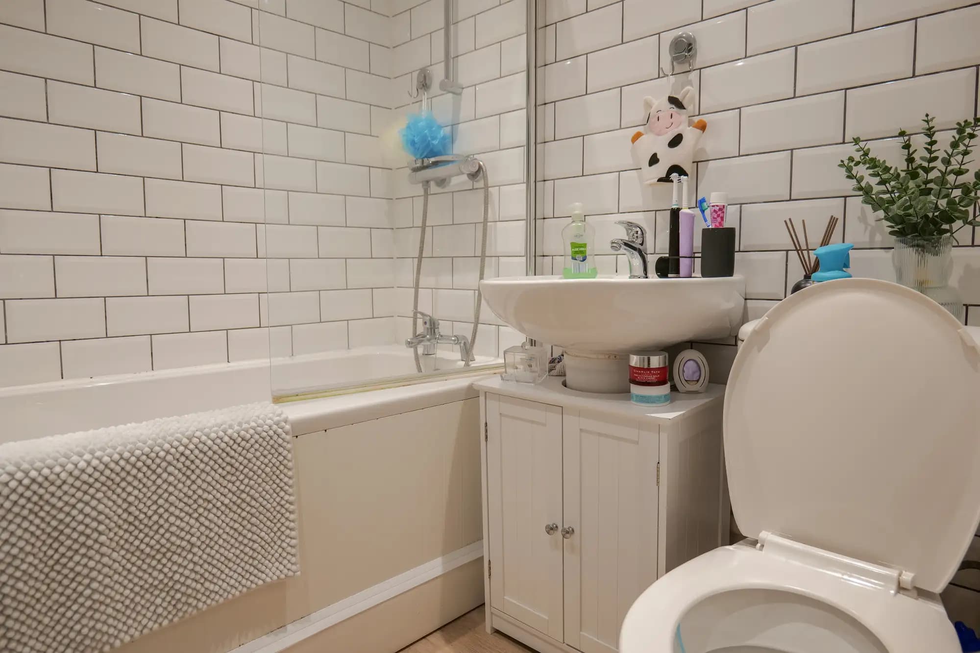 property photo 11 of 21