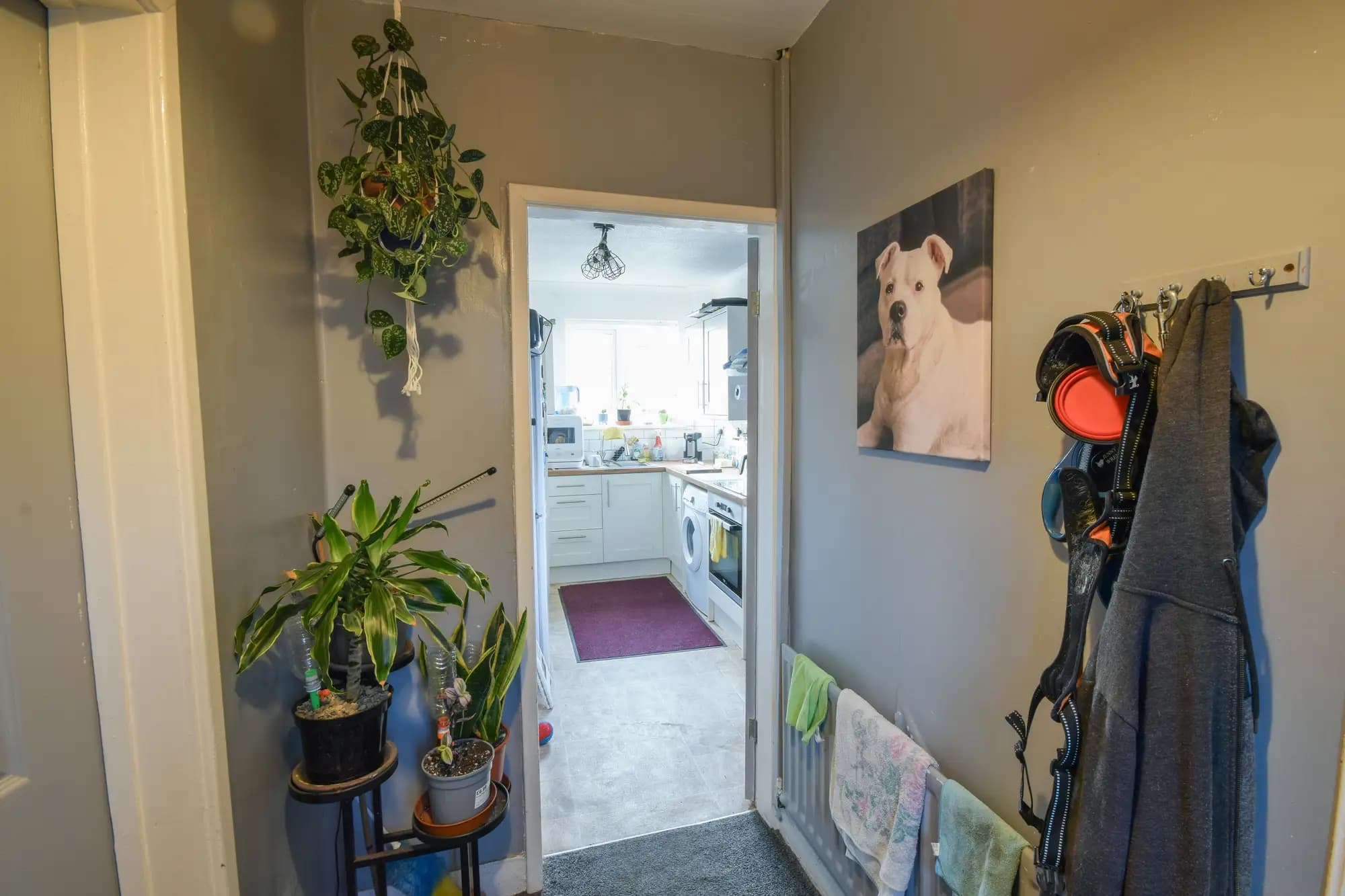 property photo 6 of 17