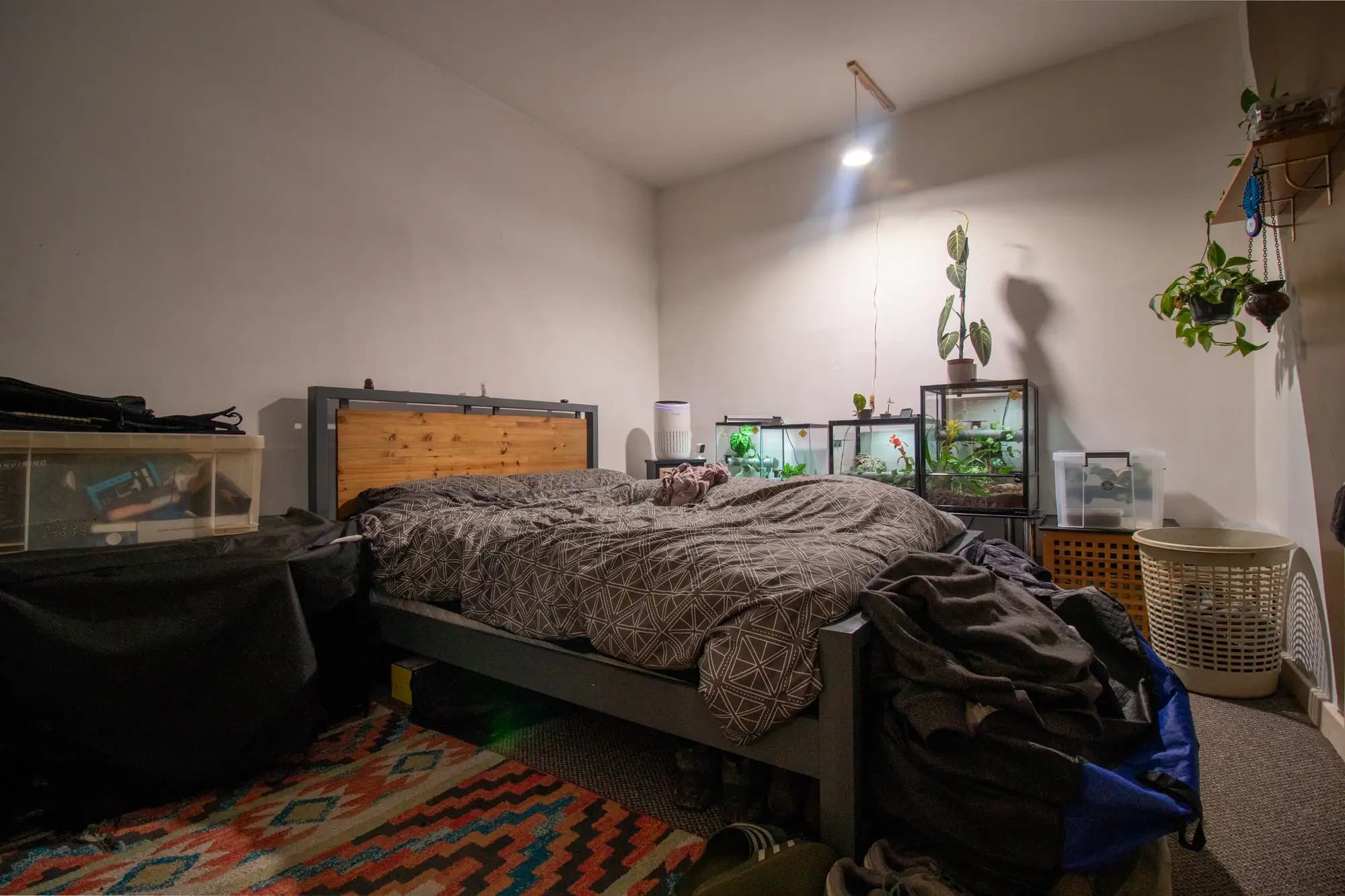 property photo 5 of 10
