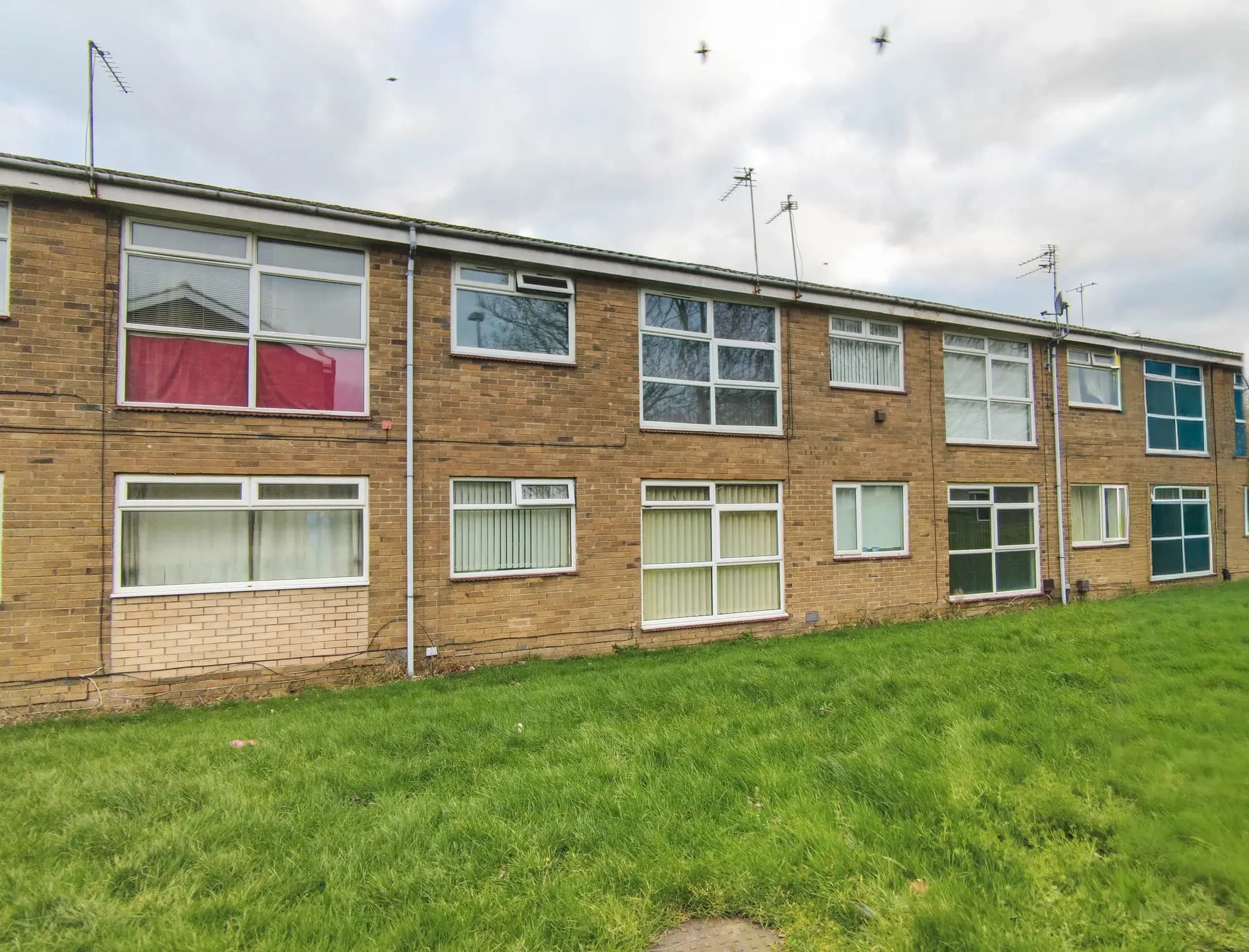 property photo 13 of 13