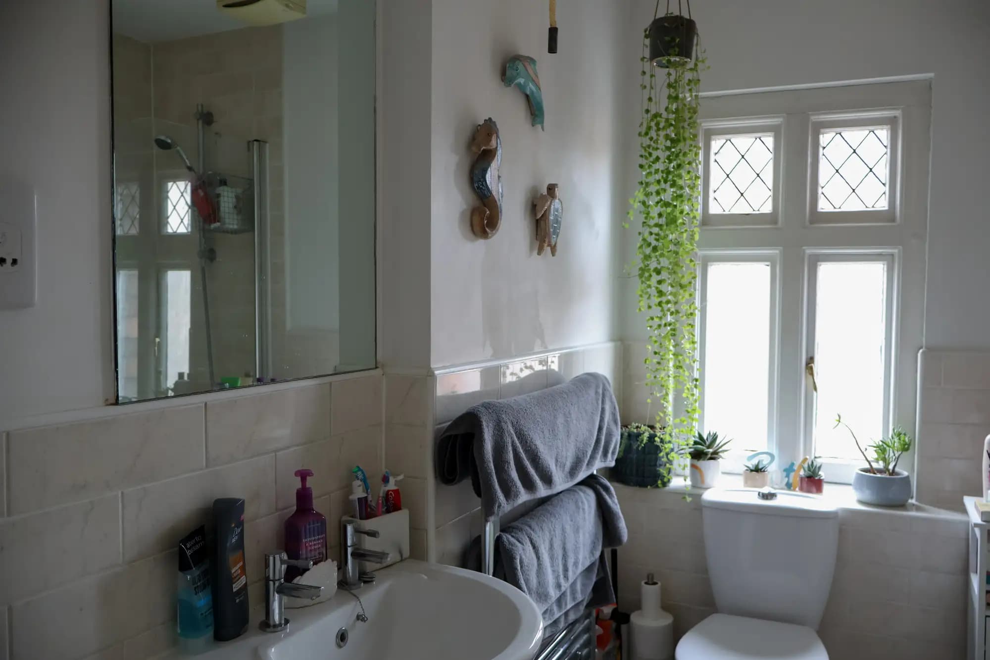 property photo 9 of 17