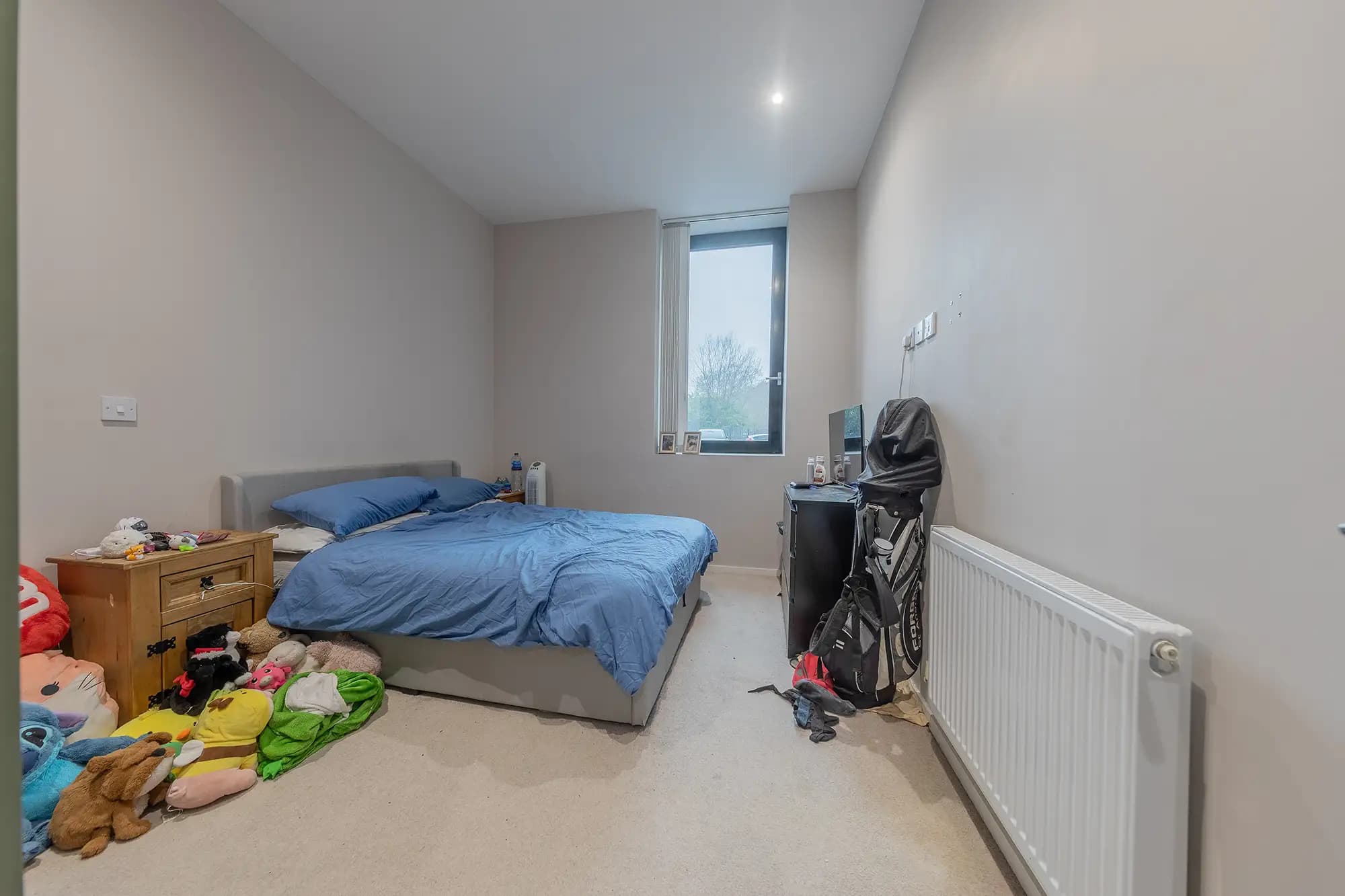 property photo 11 of 21