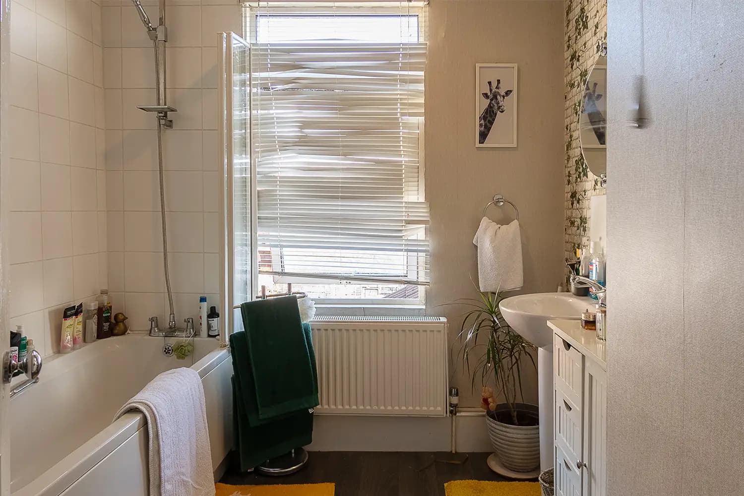 property photo 11 of 27