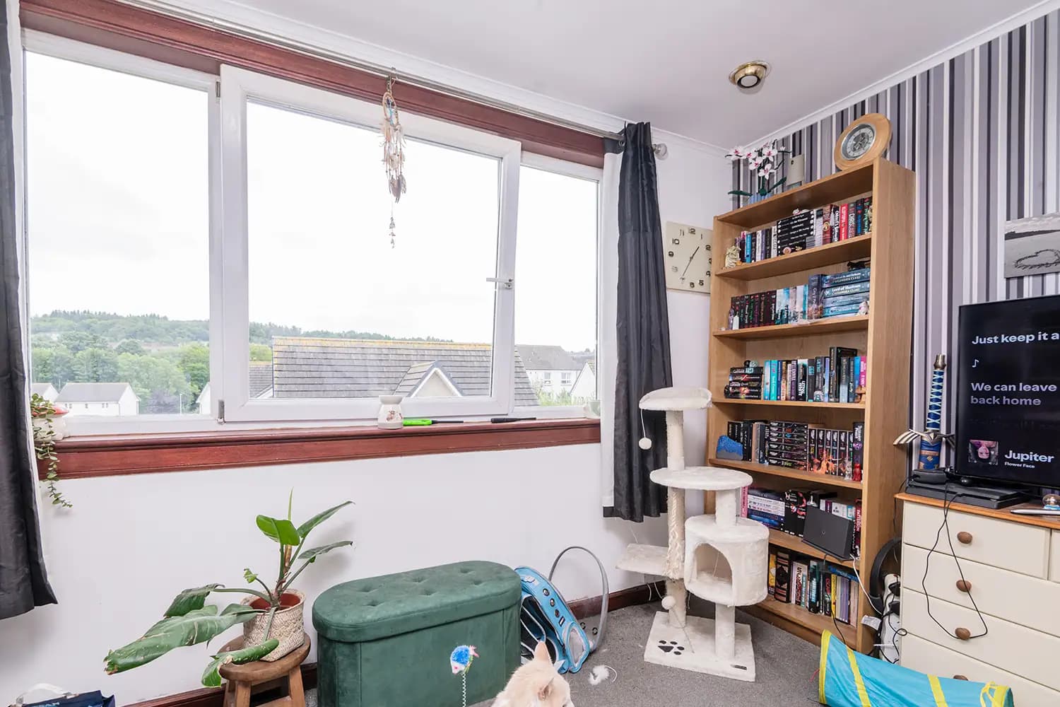 property photo 5 of 20