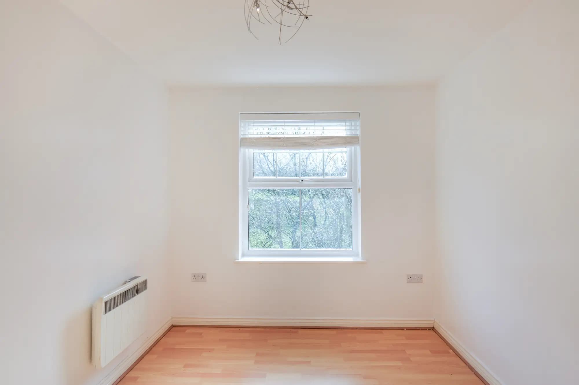 property photo 12 of 24