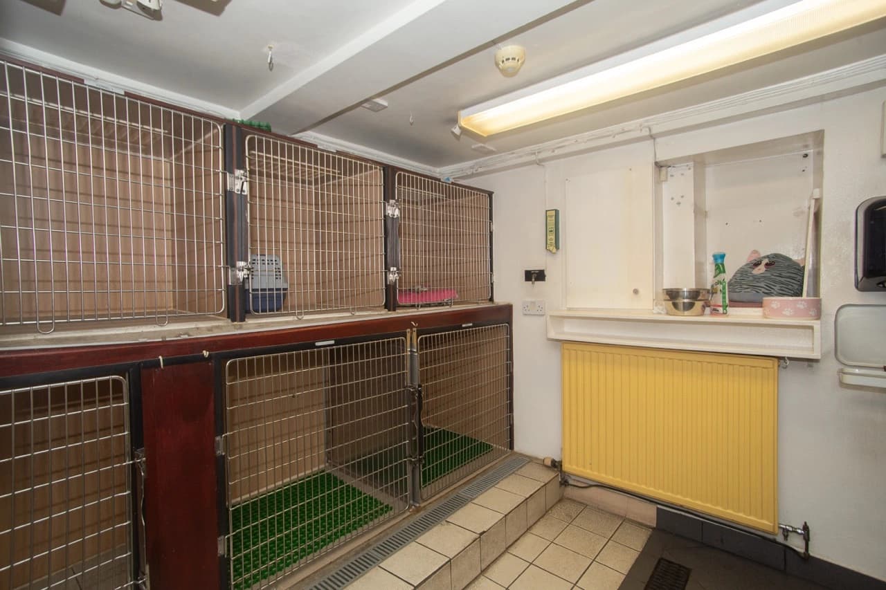 property photo 31 of 33