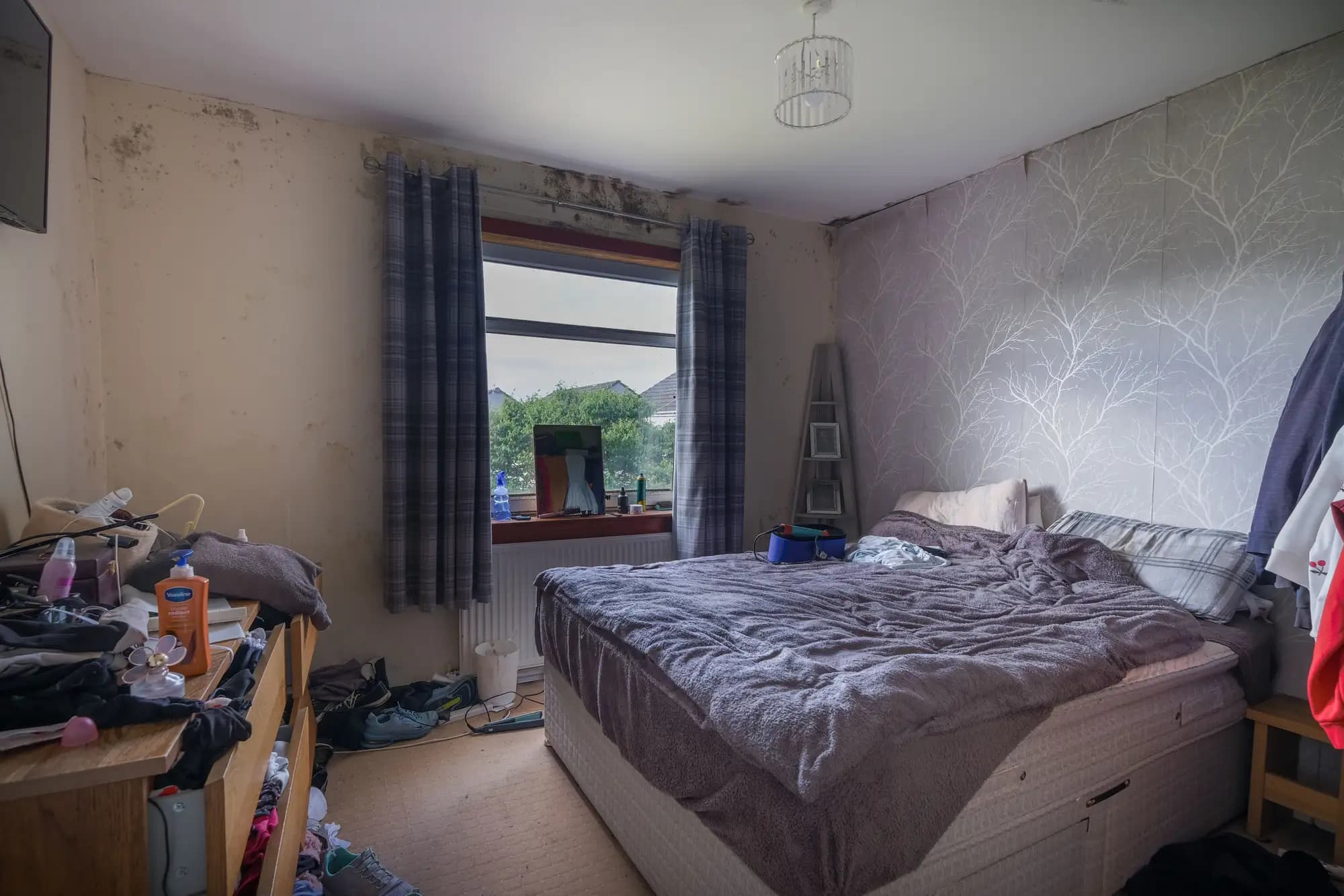 property photo 10 of 19