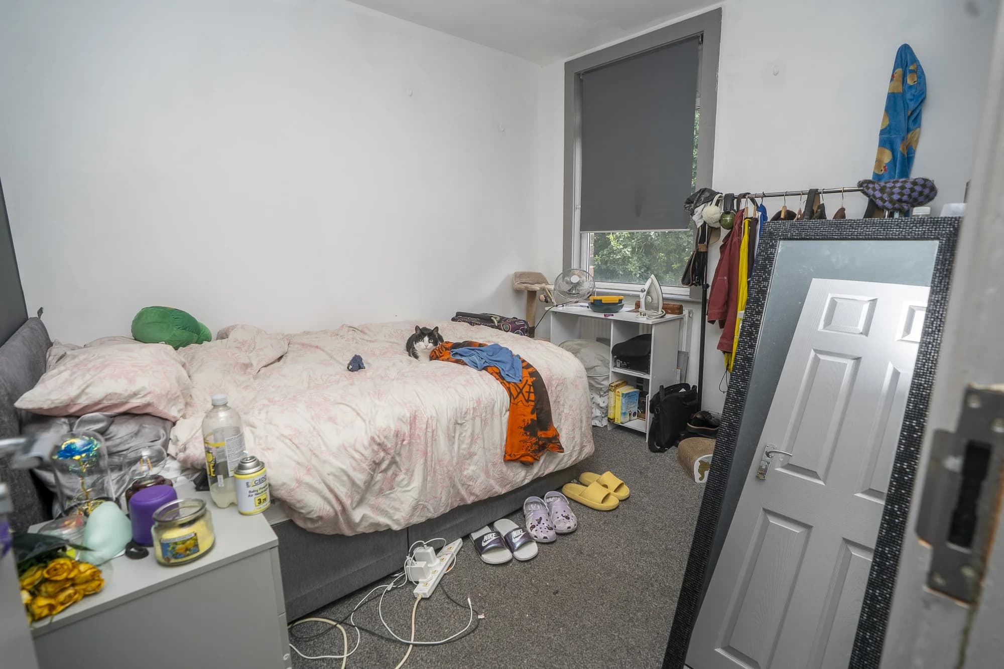 property photo 18 of 24