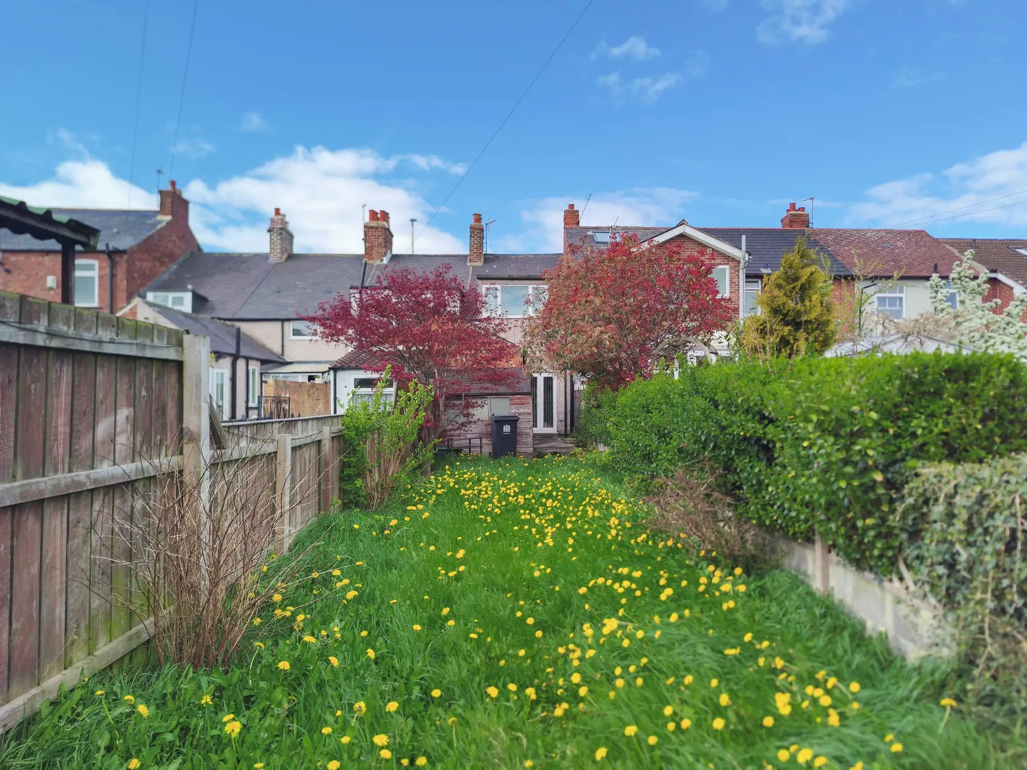 property photo 18 of 19