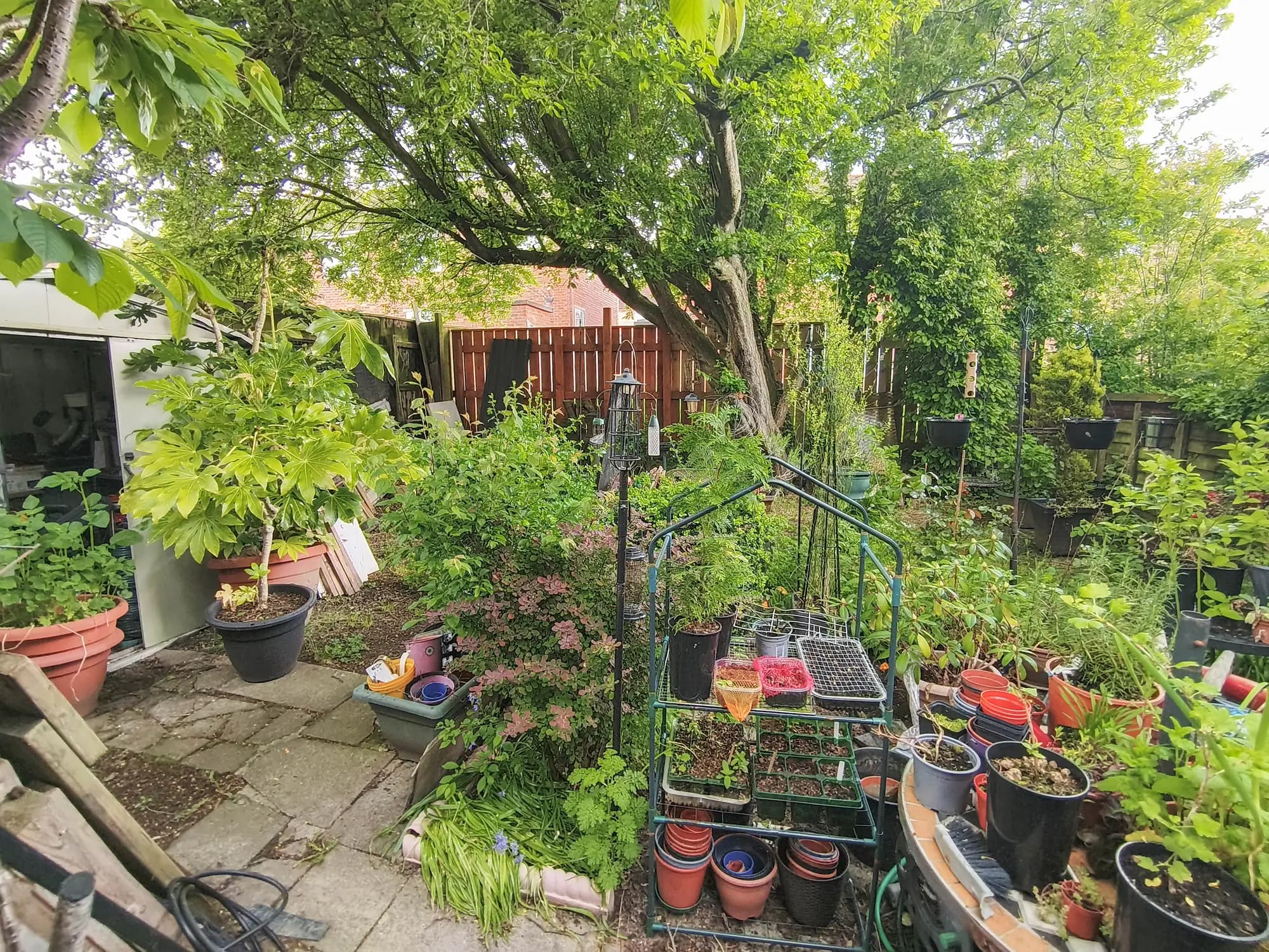 property photo 14 of 15