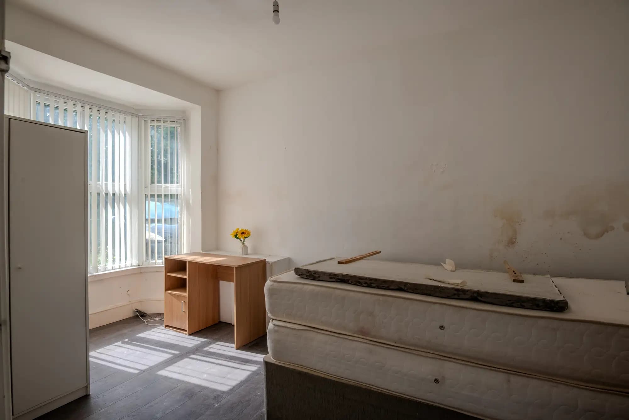 property photo 12 of 17