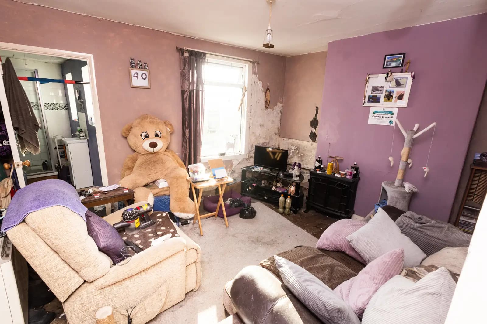 property photo 5 of 23