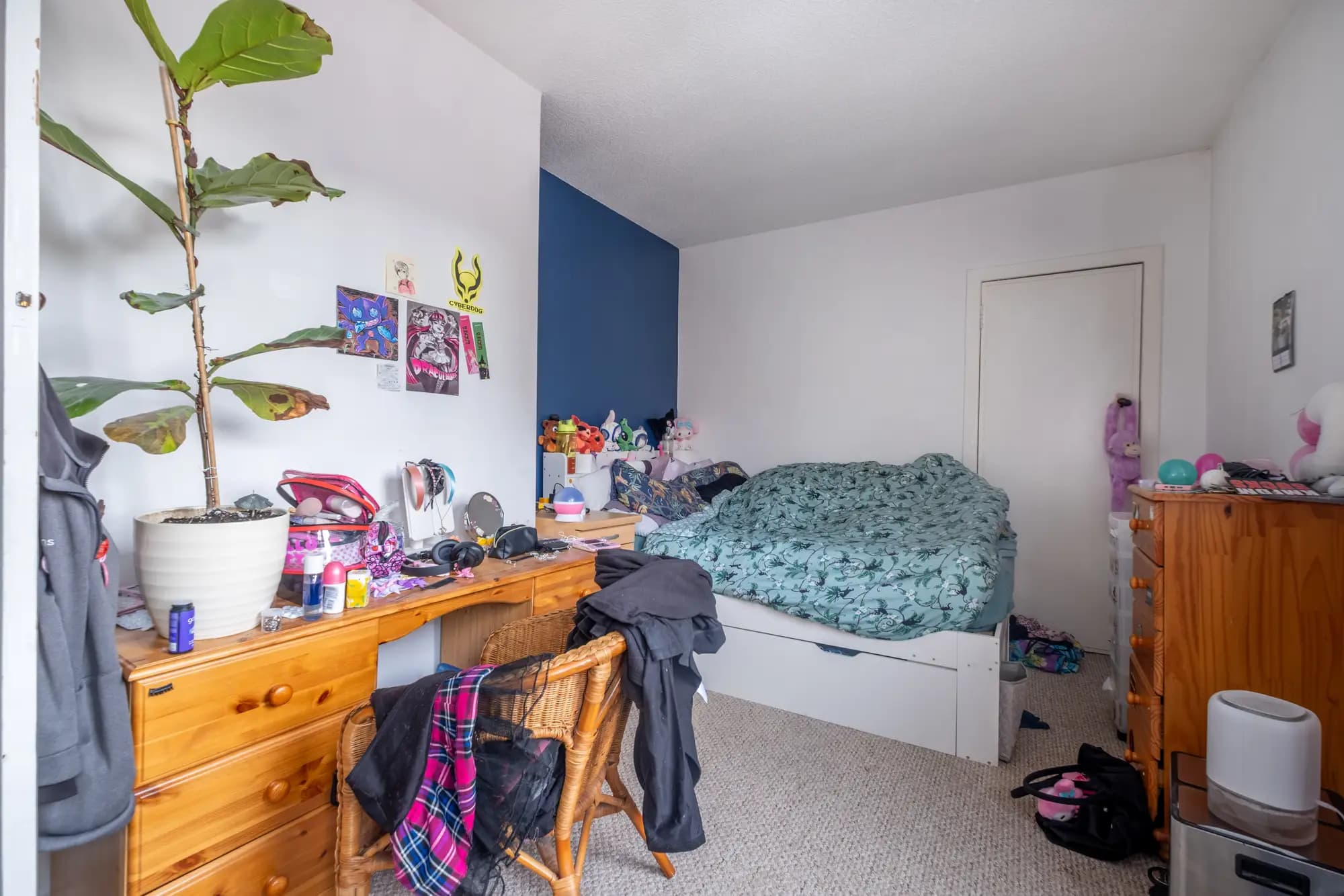 property photo 11 of 18