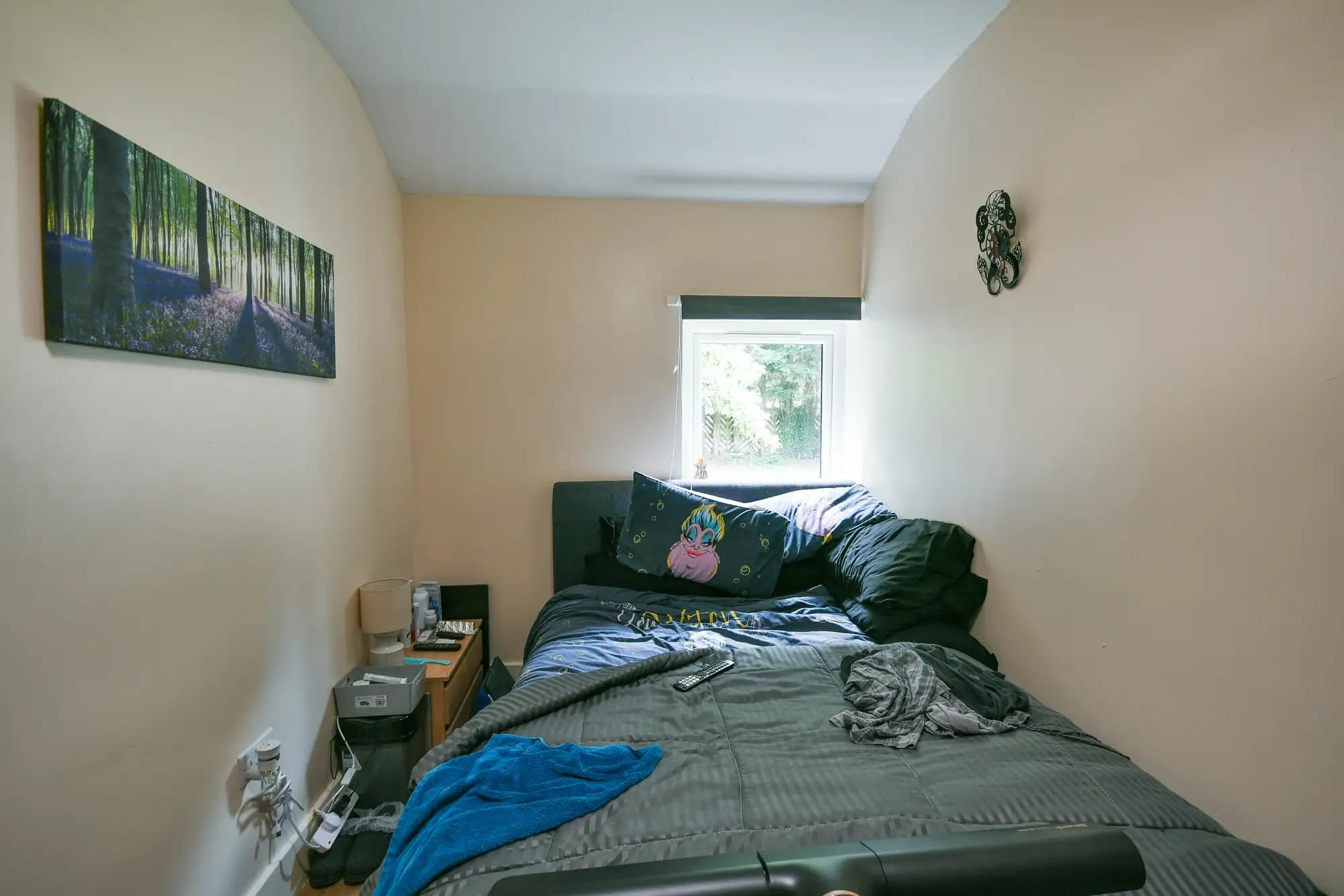 property photo 18 of 30